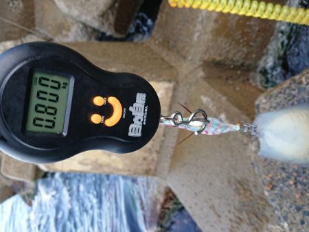 小さいながらも1杯